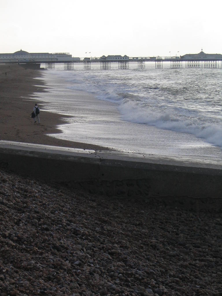 The Beach and Brighton Pier
