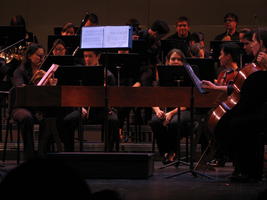 Orchestra middle