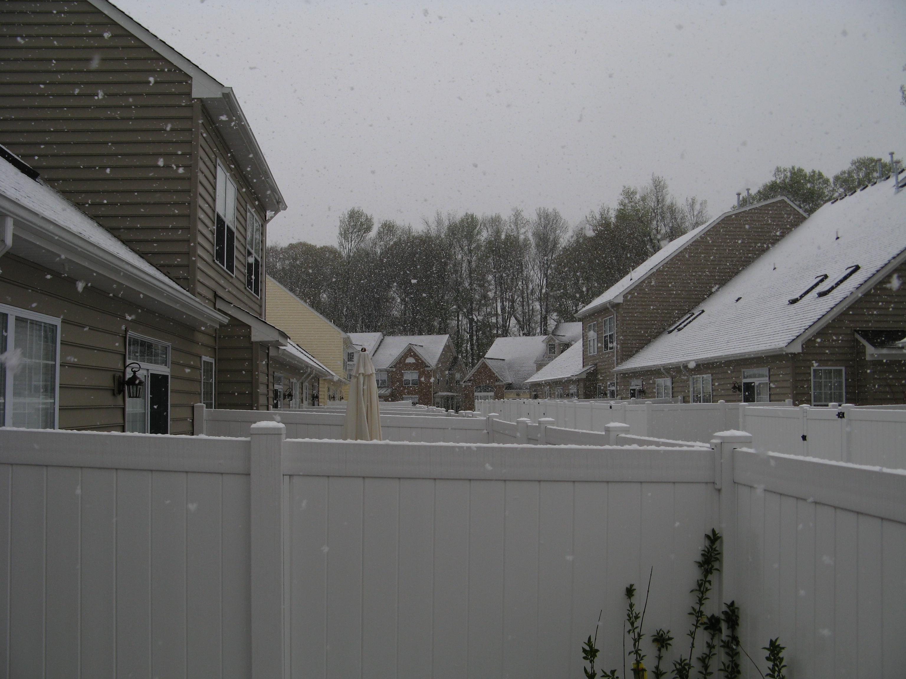 Snowy Sky Backyards