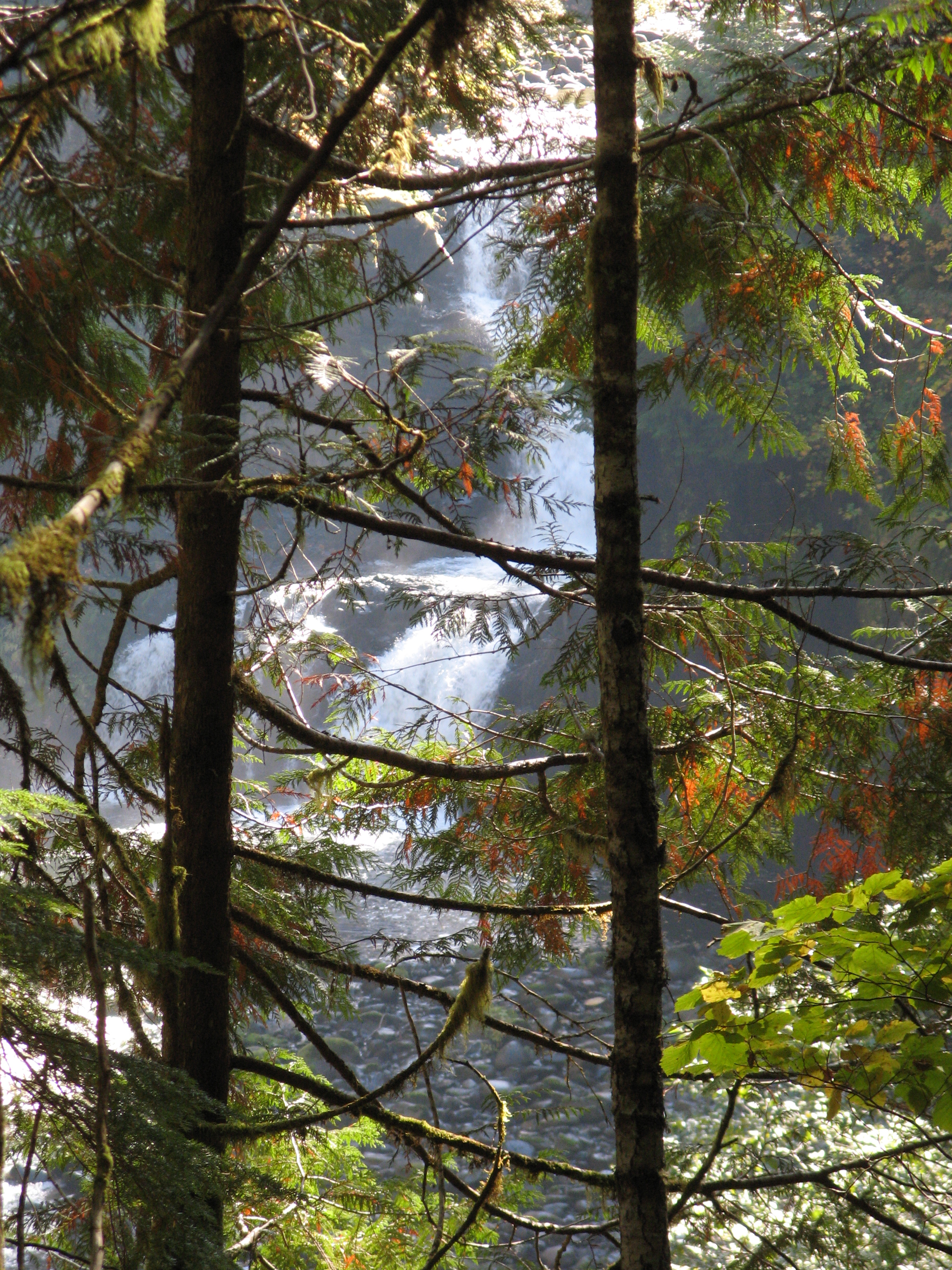 Waterfall Through the Trees