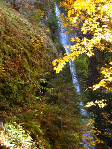 Tunnel Falls, the Tunnel, Petros, and Leaves