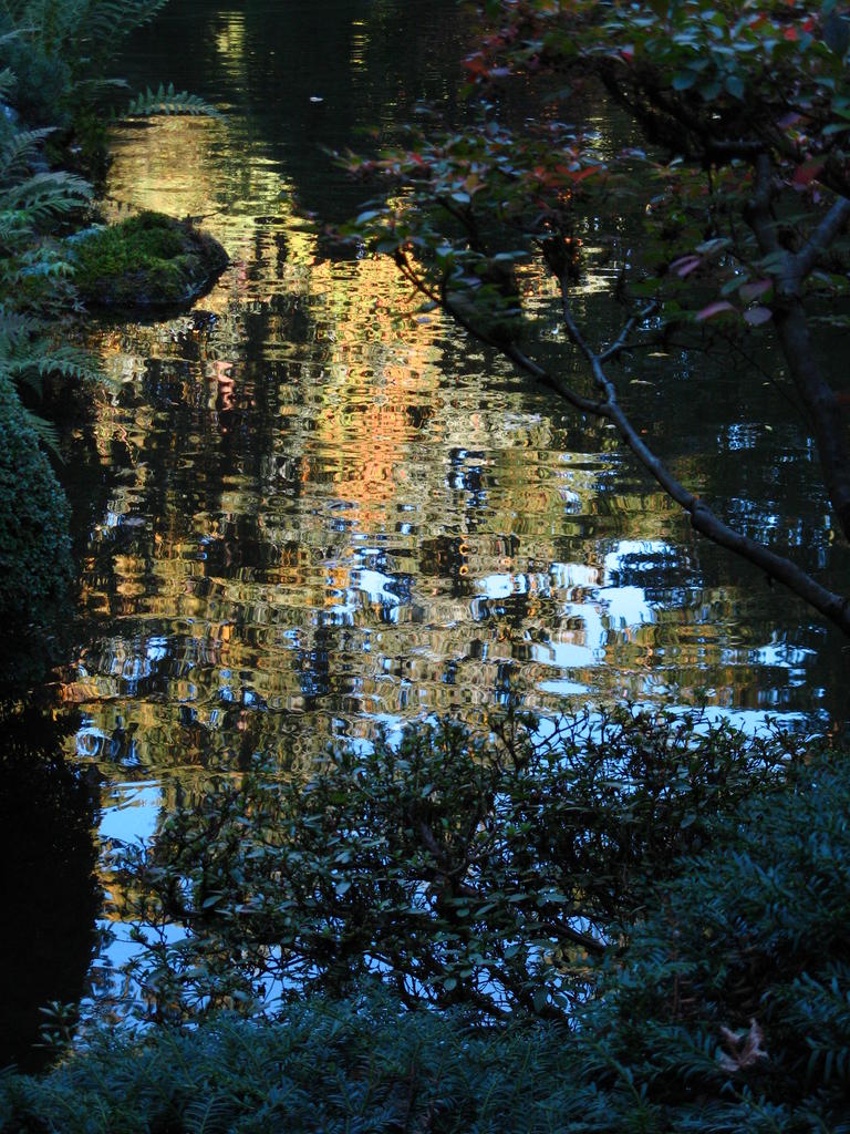 Tree Reflections