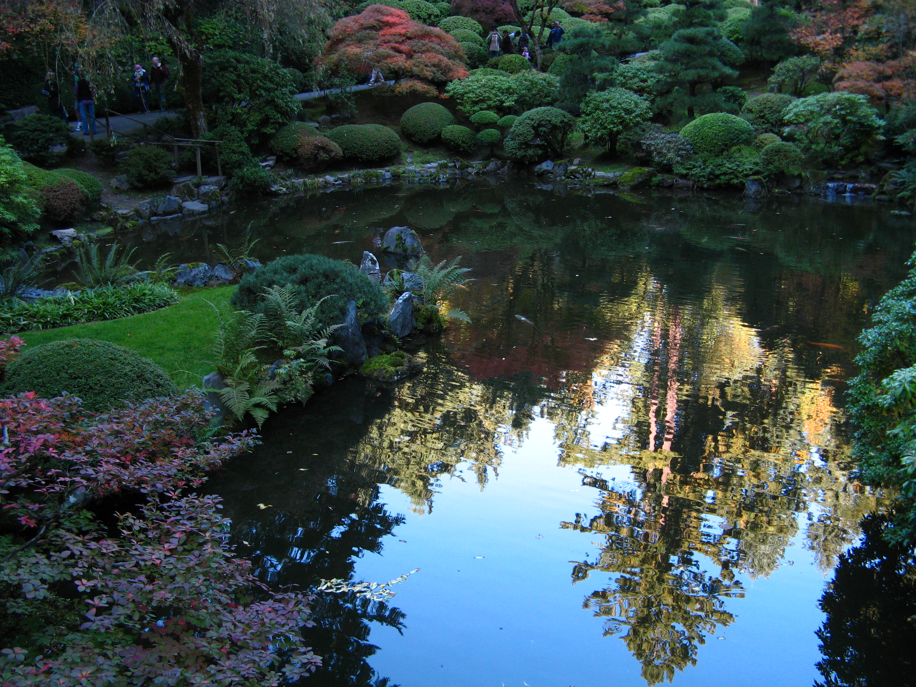 Pond, Trees, and Reflections