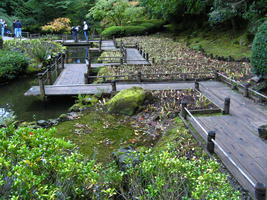 Strolling Pond Garden Walkway