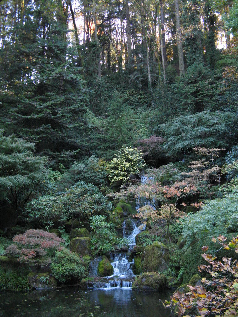 Strolling Pond Garden Waterfal and Forest