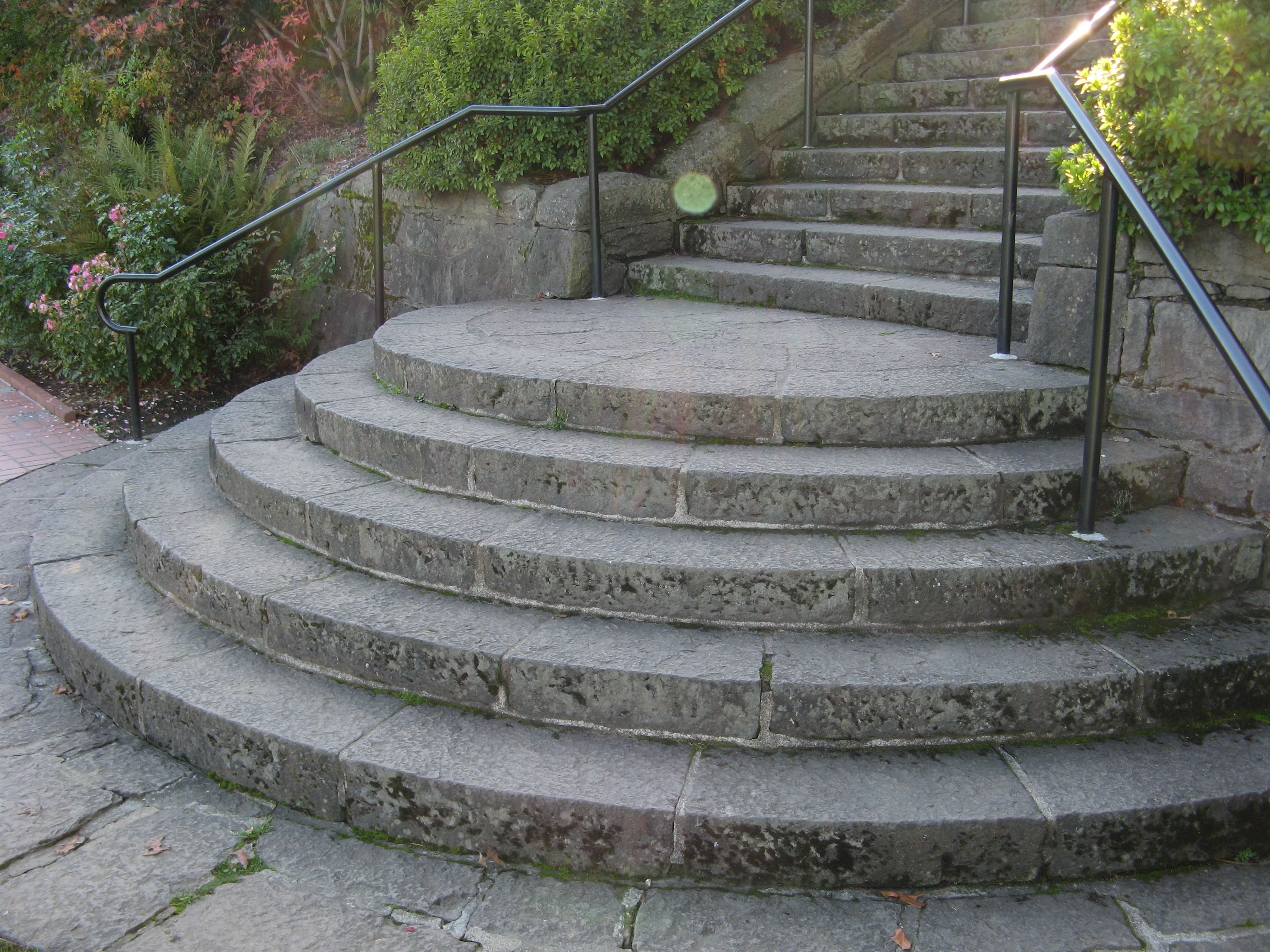 Circular Steps