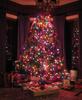 Family Room Christmas Tree