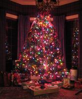 Family Room Christmas Tree