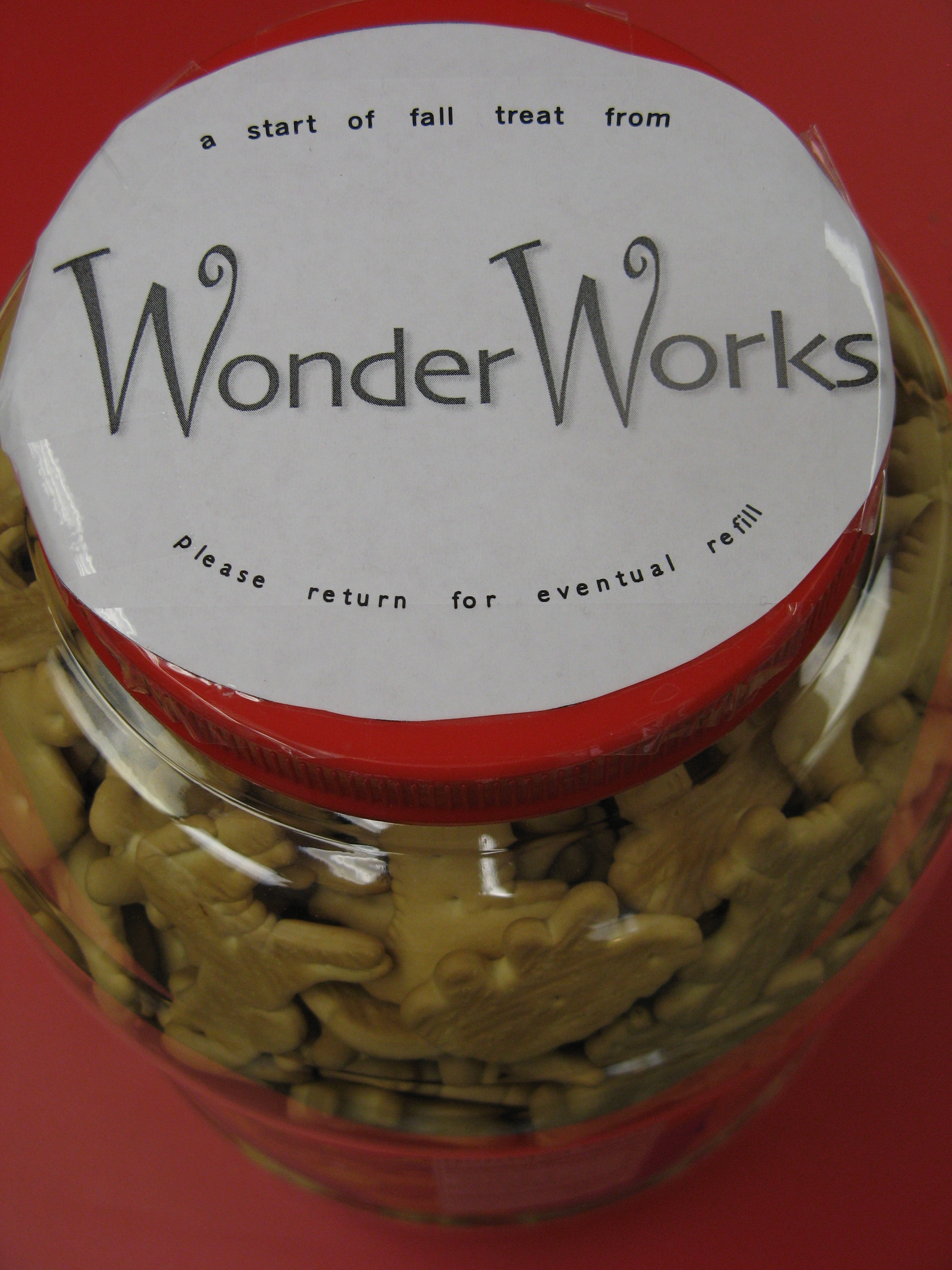 Animal Crackers From Wonder Works