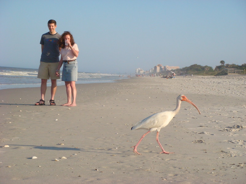Mom, Me, and a Seagull