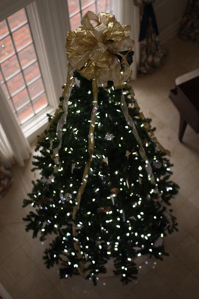 New Christmas Tree Lights