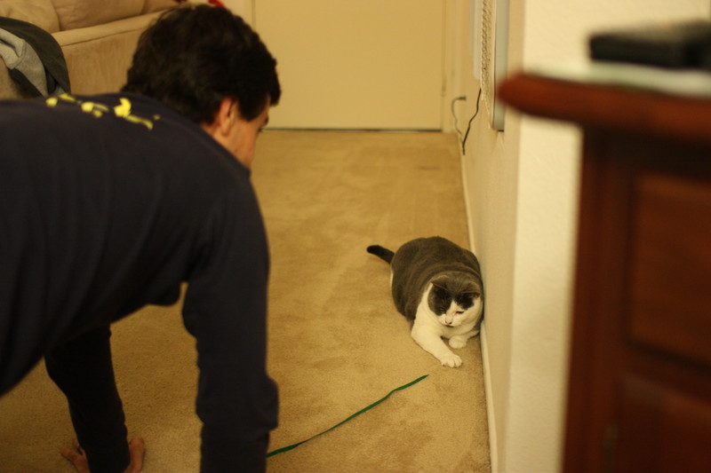 Steve, Aoife, and a Shoelace