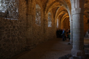 Dunegon Arches and Windows