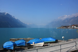 Lake Brienz View