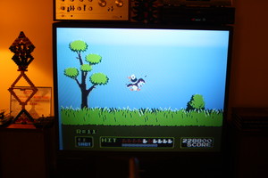 Duck Hunt Revived: The Stunned Duck