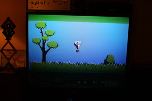 Duck Hunt Revived: A Falling Duck