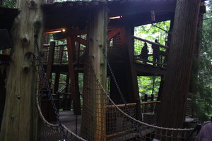 Leading to the treehouses