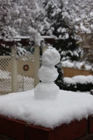 Our first snowman of the day