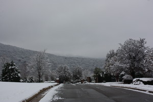 The valley in snow