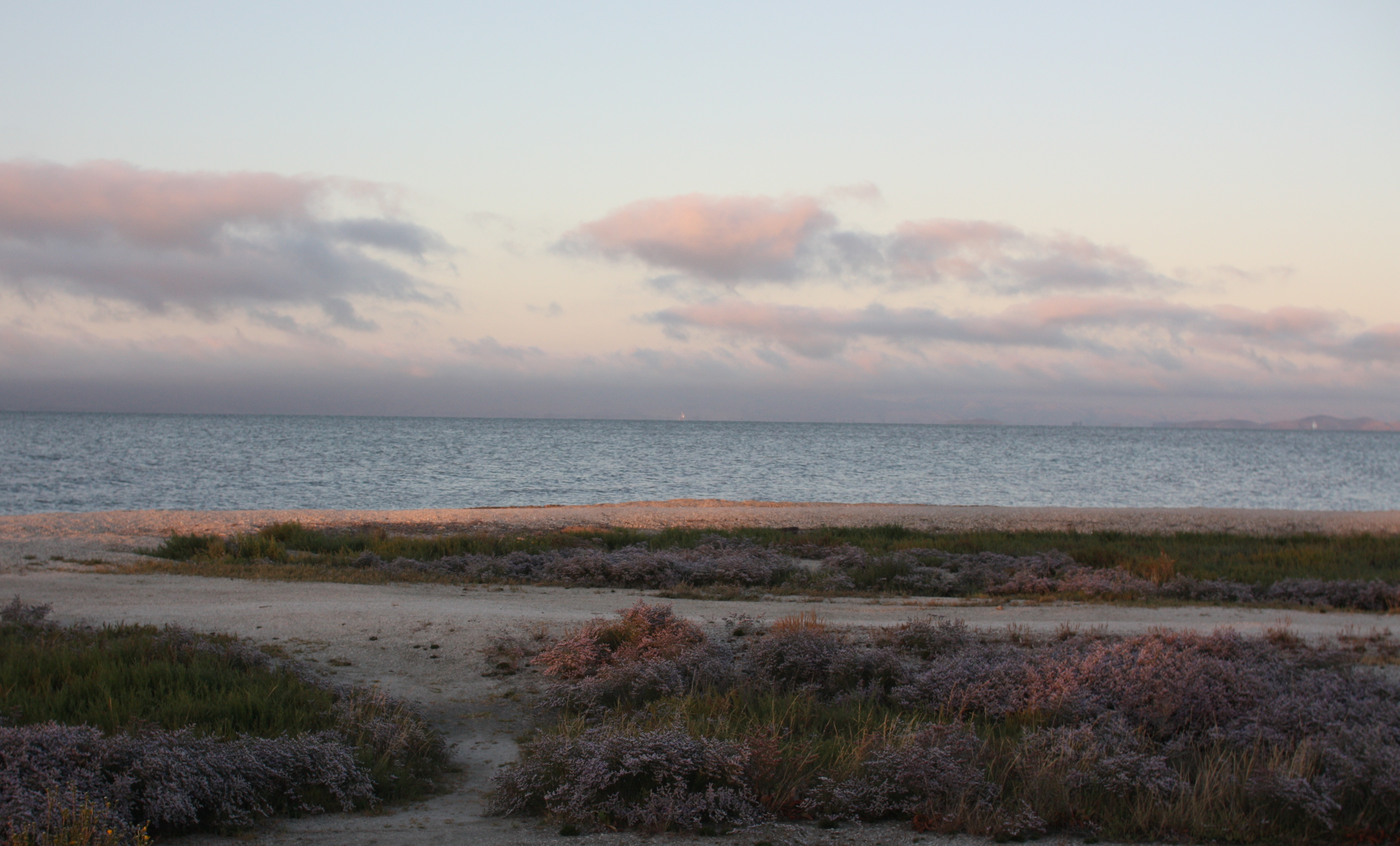 Beach along the San Francisco Bay