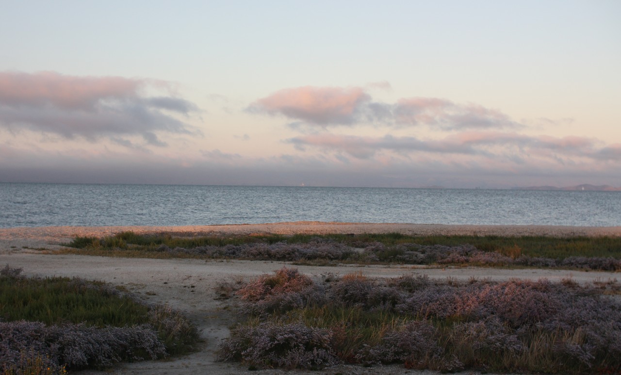 Beach along the San Francisco Bay
