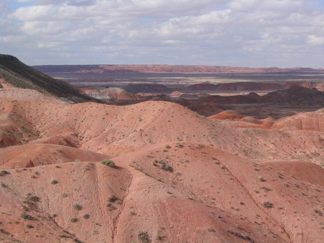 A First Look at the Painted Desert