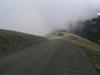 Fog Meets the Road