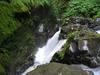 Sol Duc Falls From Atop