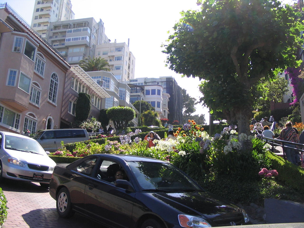 Looking Up Lombard