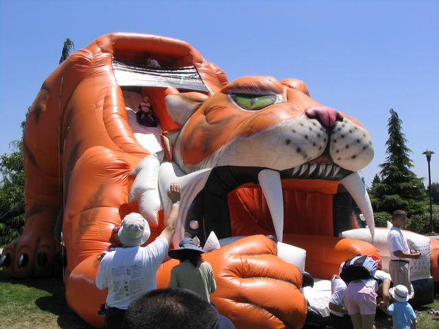 Tiger Slide