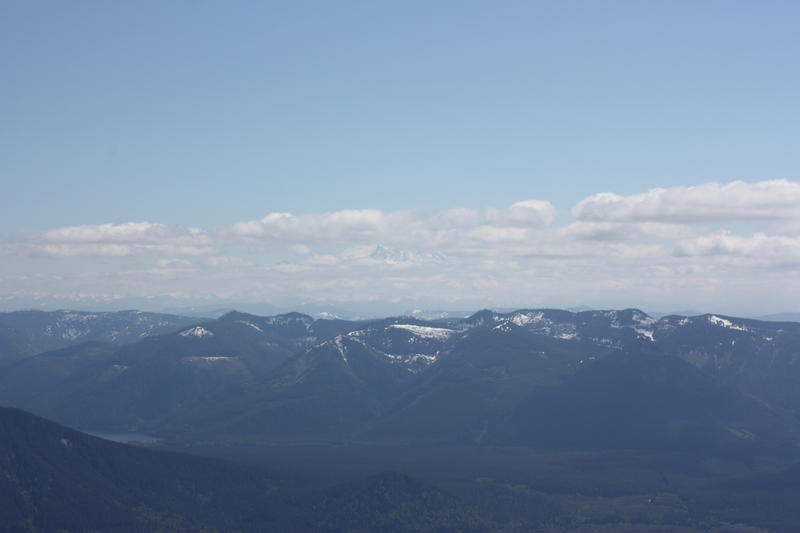 Mt. Rainer View