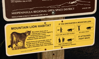 Mountain Lion Directions
