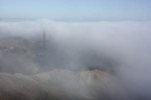 Foggy San Francisco View