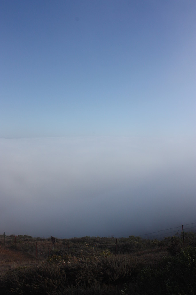 Super Foggy View of San Fancisco